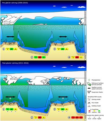 Mapping Antarctic Suspension Feeder Abundances and Seafloor Food-Availability, and Modeling Their Change After a Major Glacier Calving